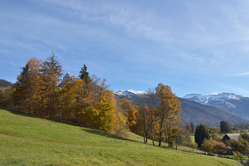 vue d'automne � Samo�ns