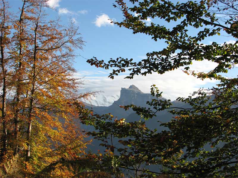 la pointe de Sales, � la proue de la cha�ne des Fiz