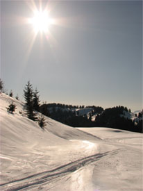 au col de Joux Plane