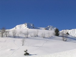 traces de raquettes