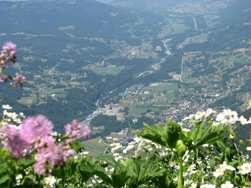 la vall�e du Giffre - Samo�ns, Morillon - vue de la Dent de Verreu